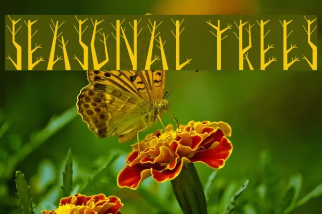 Seasonal Trees Example 3