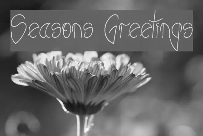 Seasons Greetings Font examples