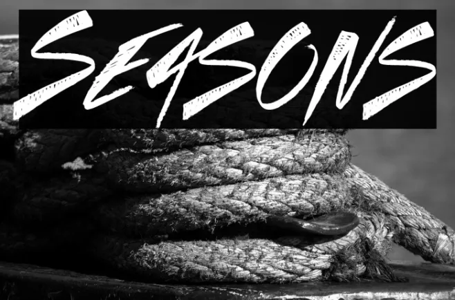 Seasons Example 3