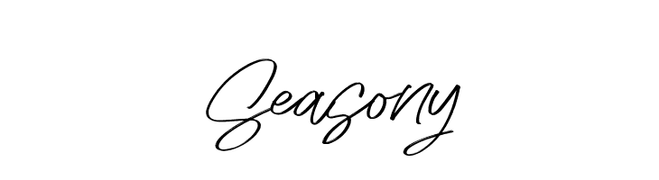 Seasony  免费字体下载
