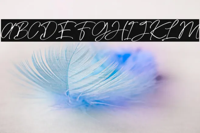 Seasony Example 3