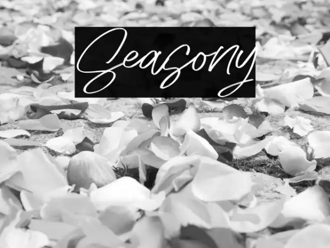 Seasony Font examples