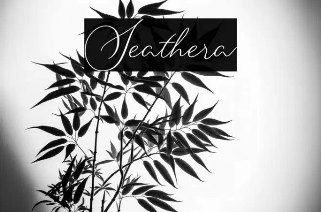 Seathera Font examples