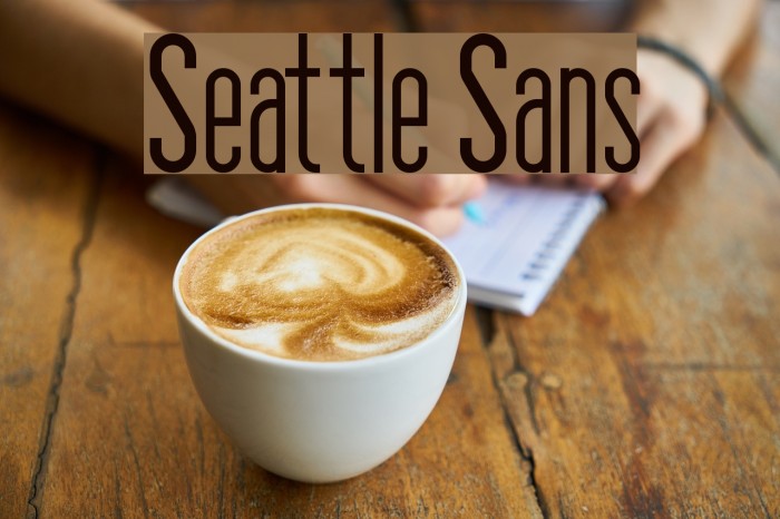 Seattle Sans Font examples