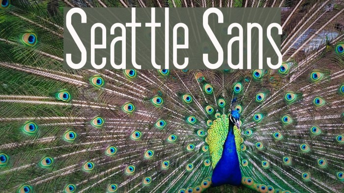 Seattle Sans Font examples