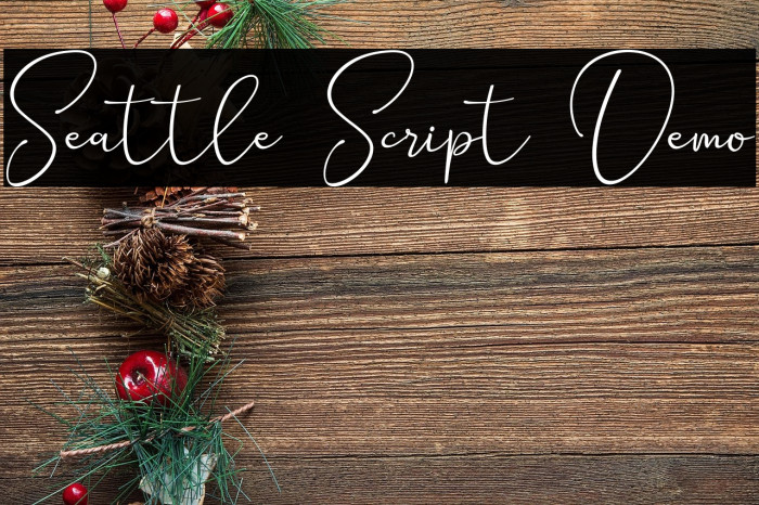 Seattle Script Demo Example 1