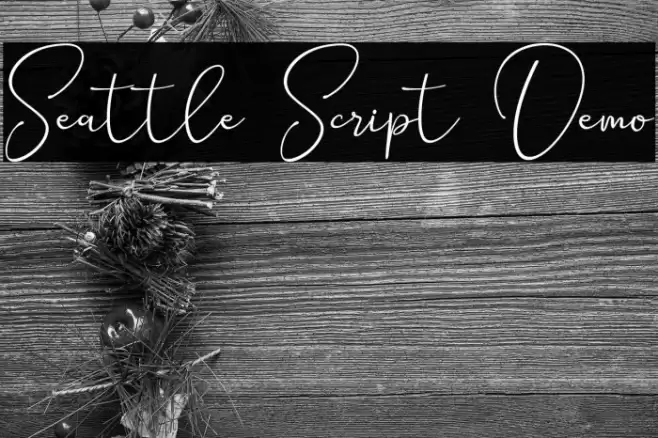 Seattle Script Demo Schriftart examples