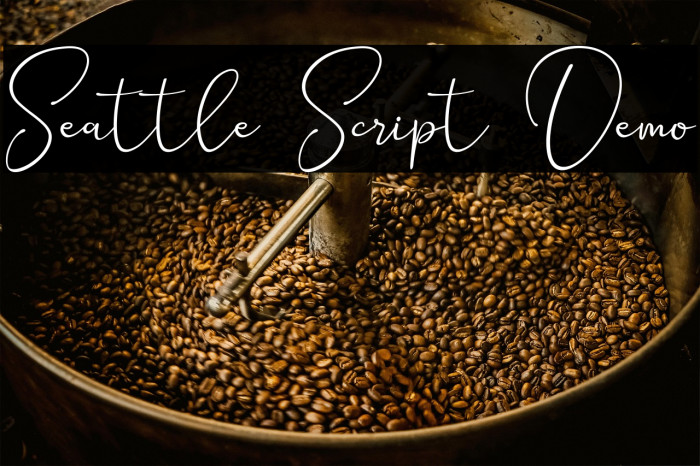 Seattle Script Demo Example 2