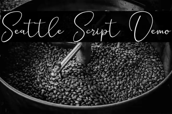Seattle Script Demo Schriftart examples