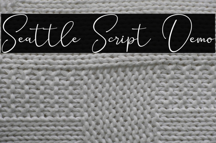 Seattle Script Demo Example 3