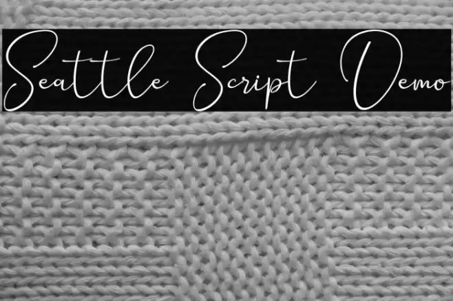 Seattle Script Demo Schriftart examples