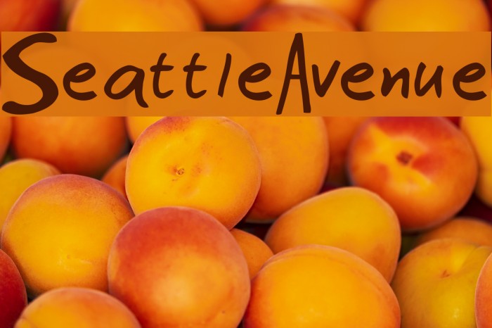 SeattleAvenue Font examples