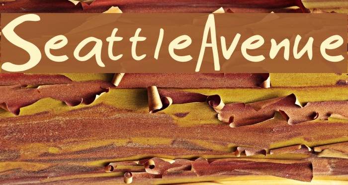 SeattleAvenue Font examples