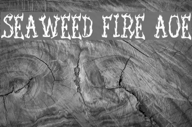Seaweed Fire AOE Font examples