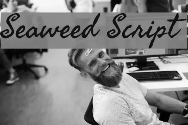 Seaweed Script Schriftart examples