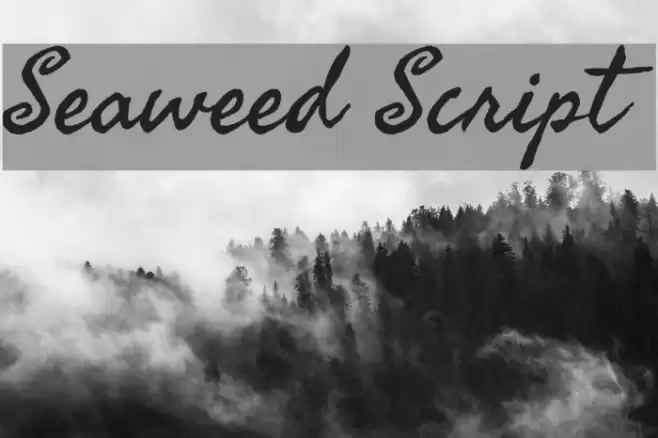 Seaweed Script Schriftart examples