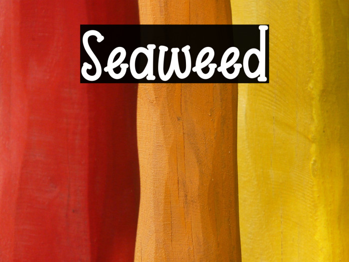 Seaweed Example 1