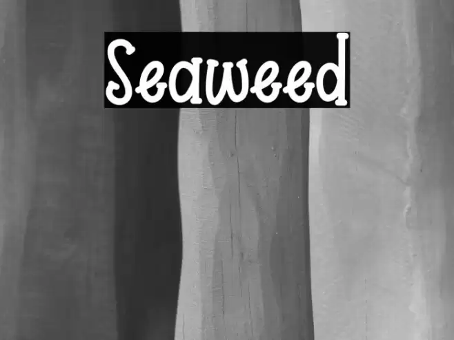 Seaweed Font examples