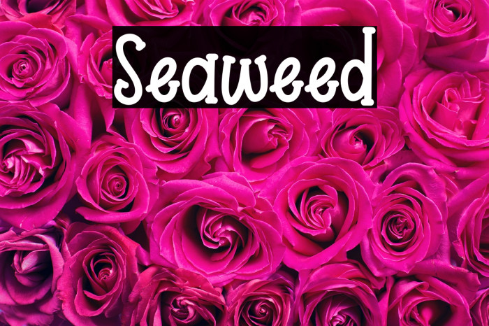 Seaweed Example 2