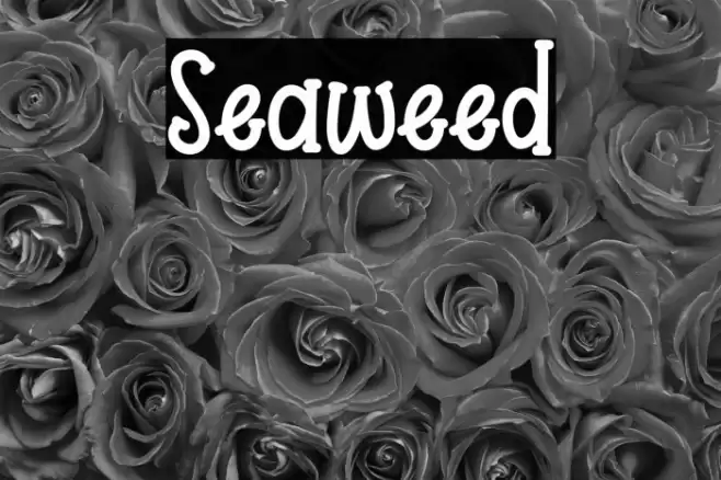 Seaweed Font examples