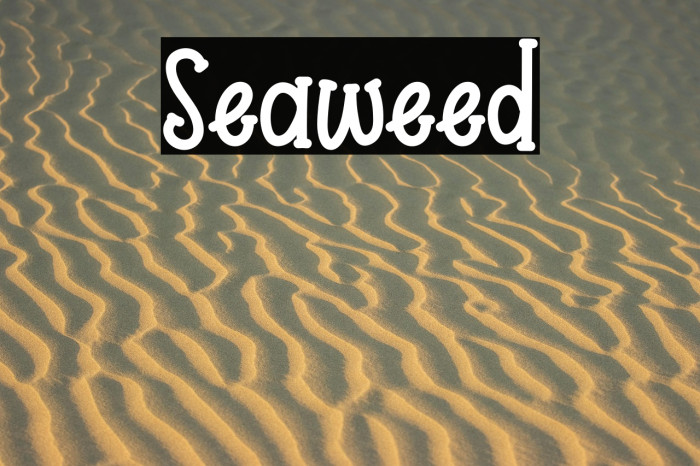 Seaweed Example 3