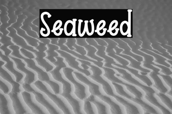 Seaweed Font examples