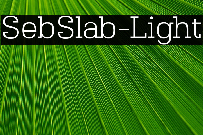 SebSlab-Light Font examples