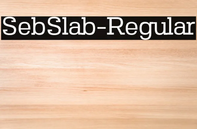 SebSlab-Regular Example 1