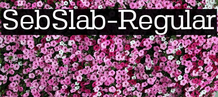 SebSlab-Regular Font examples