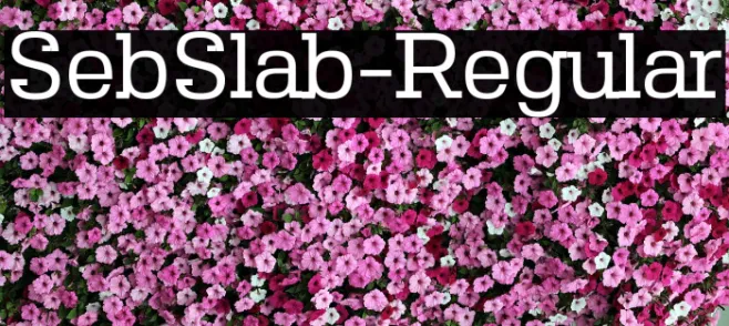 SebSlab-Regular Example 3