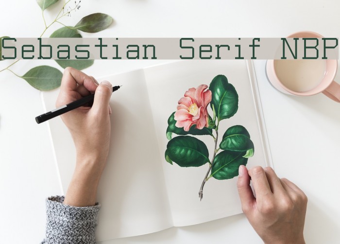 Sebastian Serif NBP Font examples