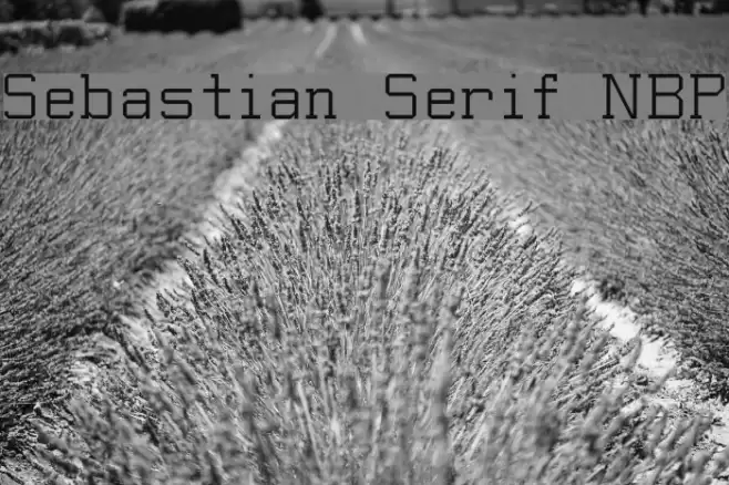 Sebastian Serif NBP Font examples