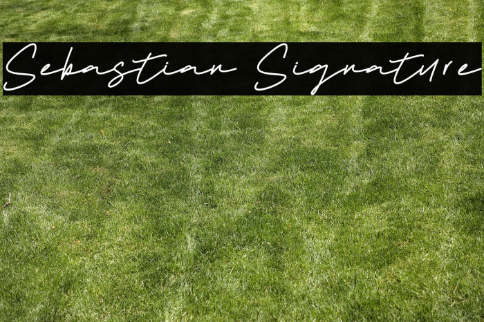 Sebastian Signature Example 1