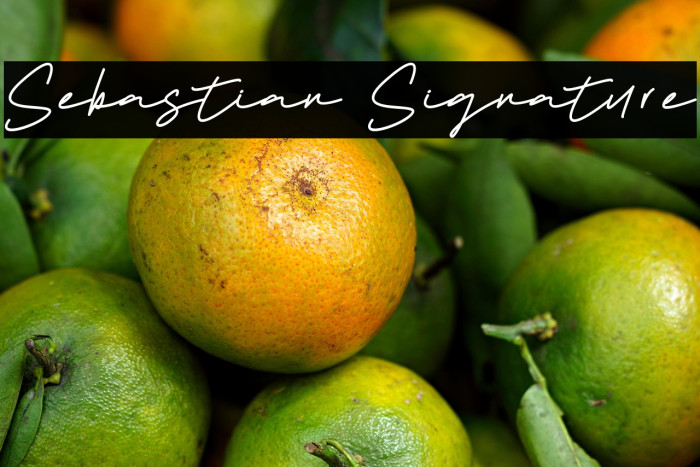 Sebastian Signature Example 3