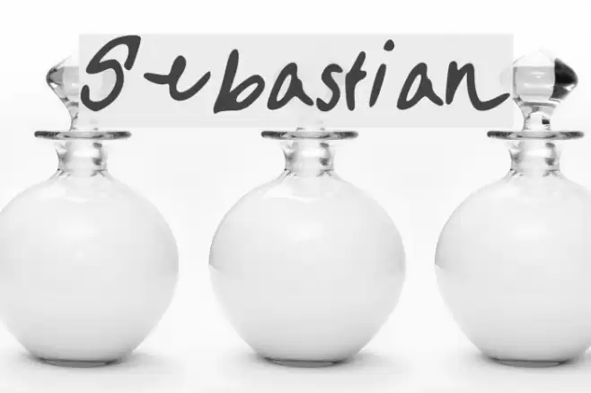 Sebastian Font examples