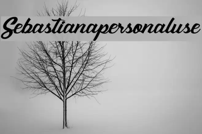 Sebastianapersonaluse Font examples