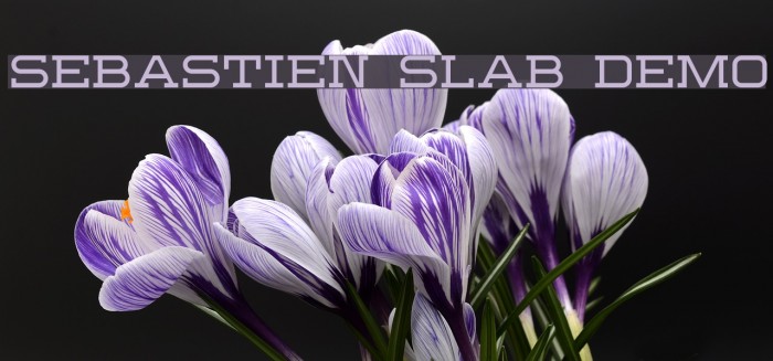 Sebastien Slab Demo Font examples
