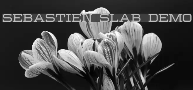 Sebastien Slab Demo Font examples