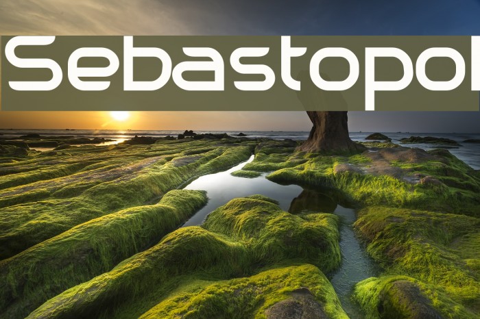 Sebastopol Fonte examples
