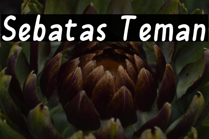 Sebatas Teman Example 2