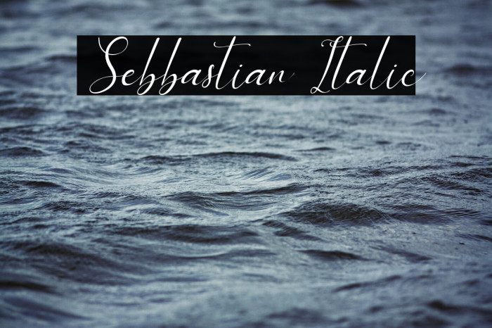 Sebbastian Italic Example 2