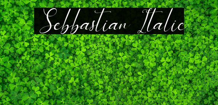 Sebbastian Italic Example 3