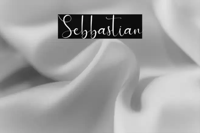 Sebbastian Font examples