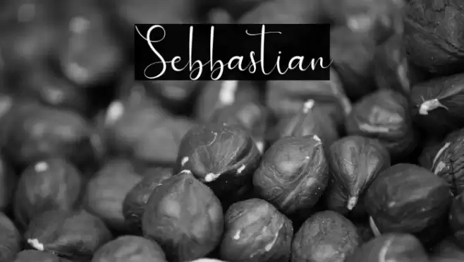 Sebbastian Font examples