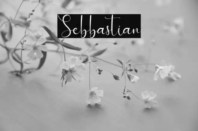 Sebbastian Font examples