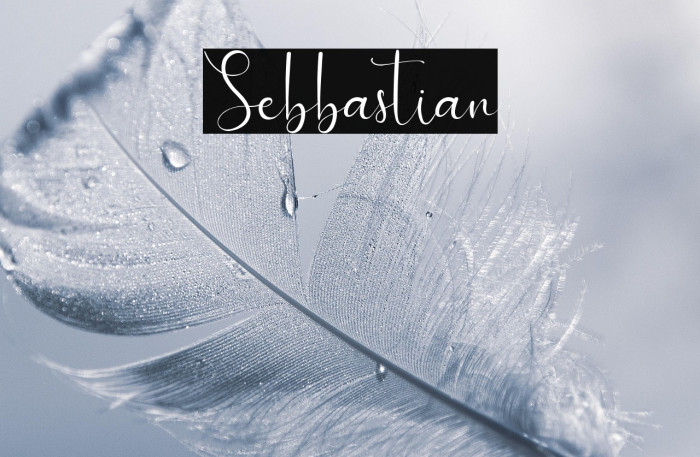 Sebbastian Example 1