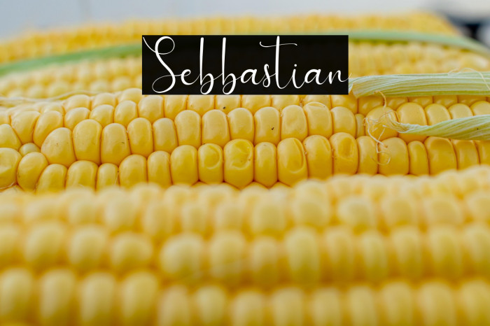 Sebbastian Example 2