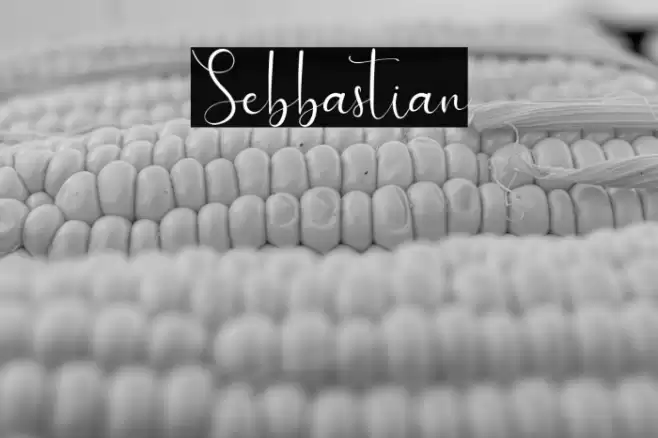 Sebbastian Font examples