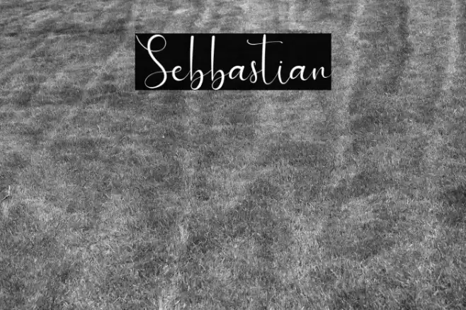 Sebbastian Font examples