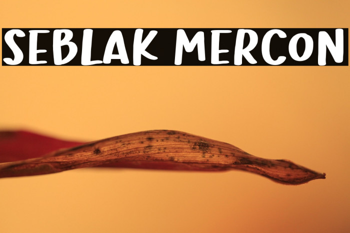 Seblak Mercon Example 1